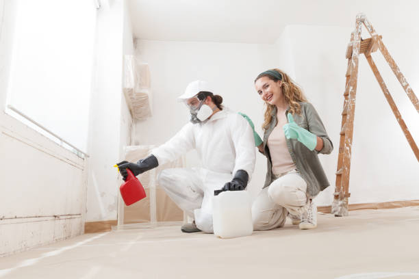 Best Water Damage & Mold Remediation  in Eagle Pass, TX